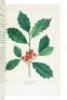 The North American Sylva, or a Description of Forest Trees, of The United States, Canada, and Nova Scotia - 8