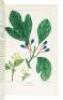 The North American Sylva, or a Description of Forest Trees, of The United States, Canada, and Nova Scotia - 9