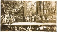 Five photographs of the Islam Redwood Shrine Grove