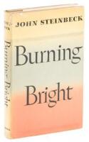 Burning Bright: A Play in Story Form