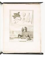 Plates & a few text leaves from "Suite des memoires pour servir a l'histoire naturelle des animaux"