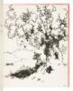 The Story of Ferdinand - 6