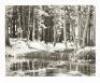 Ansel Adams - 5