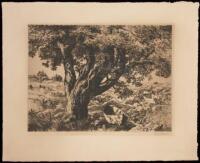 Original etching by Sam Thal [Hodgkin's Landing]