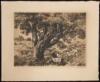 Original etching by Sam Thal [Hodgkin's Landing]