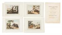 Five hand-colored aquatint plates of large game animals from Foreign Field Sports (The Big Five), with accompanying descriptive letterpress