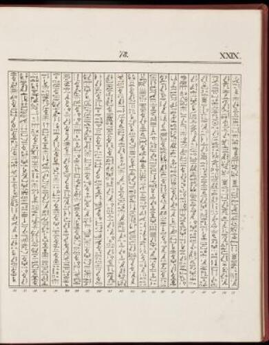 Das Todtenbuch der &Auml;gypter nach dem Hiueroglyphischen Papyrus in Turin. Mit einem vorworte zum ersten male herausgegeben von R. Lepsius