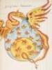 The Crowning of Nature (Coronatio Naturae) - illustrated manuscript - 5