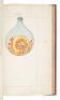 The Crowning of Nature (Coronatio Naturae) - illustrated manuscript - 16