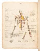 A Description of the Muscles of the Human Body, as they appear on Dissection; with the Synonyma of Cowper, Winslow, Douglas, Albinus, and Innes, and the Nomenclature of Dumas... With prints and maps, showing the insertion of muscles.