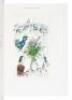The Lithographs of Chagall - 7