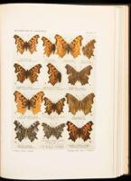 Butterflies of California: A Popular Guide to a Knowledge of the Butterflies of California, Embracing all of the 477 Species and Varieties at Present Recorded for the State