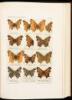 Butterflies of California: A Popular Guide to a Knowledge of the Butterflies of California, Embracing all of the 477 Species and Varieties at Present Recorded for the State