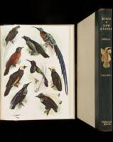 Birds of New Guinea