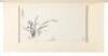 Chinese Orchids by Madame Chiang Kai-shek - 4