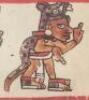 Interpretation of the Codex Bodley 2858 - 5