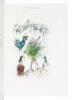 The Lithographs of Chagall - 7