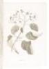 Travels to Discover the Source of the Nile in the Years 1768, 1769, 1770, 1771, 1772, & 1773 - 9
