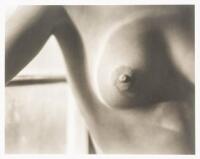 Edward Weston: Nudes