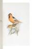 The Birds of California: A Complete, Scientific and Popular Account of the 580 Species and Subspecies of Birds Found in the State - 8