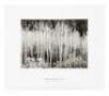 Ansel Adams at 100 - 2
