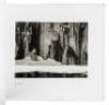 Ansel Adams at 100 - 3