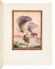 The Arabian Nights. Tales from the Thousand and One Nights - 7