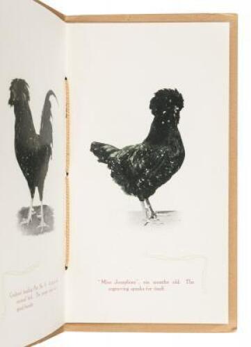 Illustrated Catalog of Houdans as Bred by A.W. Bessey