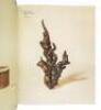 Chinese Bamboo Carving. Part I. - 9