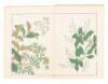 Six Chinese and Japanese illustrated volumes - 6