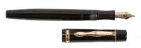 No. 122 PL (Platinum-Lined) Celluloid Fountain Pen