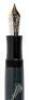 Charles Dickens Limited Edition Fountain Pen - 2