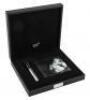 Albert Einstein Sterling Silver Limited Edition Fountain Pen