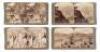 The Grand Cañon of Arizona Through the Stereoscope - 2