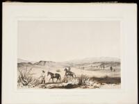 Reports of Explorations and Surveys, to Ascertain the Most Practicable and Economical Route for a Railroad from the Mississippi River to the Pacific Ocean. Made under the Direction of the Secretary of War, in 1853-6. Volume VII