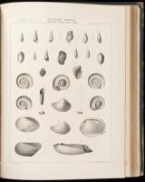 Report of Explorations Across the Great Basin of the Territory of Utah for a Direct Wagon-Route from Camp Floyd to Genoa, in Carson Valley, in 1859