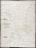 Delta of the Mississippi. Surveyed at the Suggestion of the Special Board of Engineers ... from the Original Survey of A. Talcott, by Th. J. Lee ...