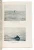 Tales of Southern Rivers - 5