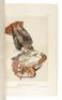 The Birds of America, from Drawings Made in the United States and Their Territories - 3