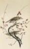 The Birds of America, from Drawings Made in the United States and Their Territories - 6