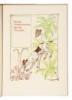 A Floral Fantasy In An Old English Garden, set forth in verses and coloured design by Walter Crane - 7