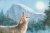 Original watercolor from Yosemite's Songster: One Coyote's Story - 3