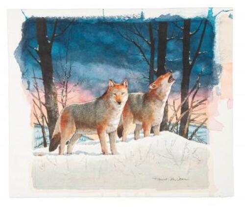 Original watercolor from cover of Red Wolf Country