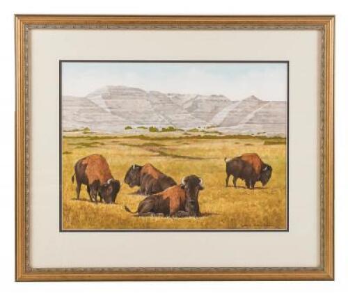 "B is for Bison" - original watercolor from Antelope, Bison, Cougar with original drawing