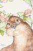 Original drawing from cover to Lady Rose, a Serendipity Book - 2