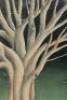 Surrealist painting, a man asleep beneath three trees - 3