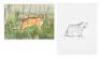 "B is for Bison" - original watercolor from Antelope, Bison, Cougar with original drawing - 5