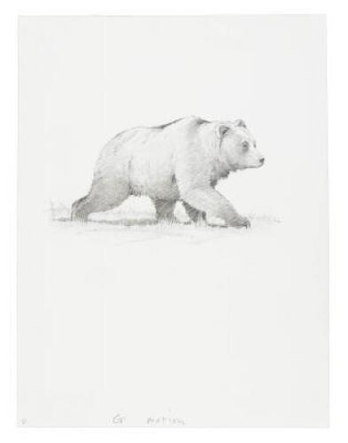 Original drawing for illustration from Antelope, Bison, Cougar with color giclee print