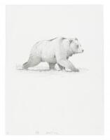 Original drawing for illustration from Antelope, Bison, Cougar with color giclee print