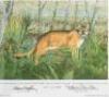 Original drawing for illustration from Antelope, Bison, Cougar with color giclee print - 2